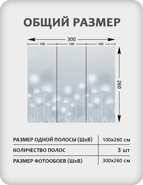 Изображение товара Фотообои листовые Citydecor Невесомость 42 (300x260см)
