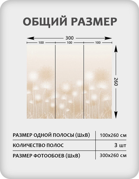 Изображение товара Фотообои листовые Citydecor Невесомость 43 (300x260см)