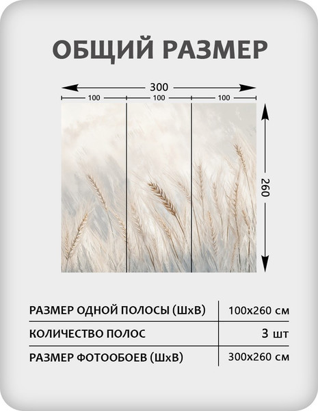 Изображение товара Фотообои листовые Citydecor Невесомость 45 (300x260см)