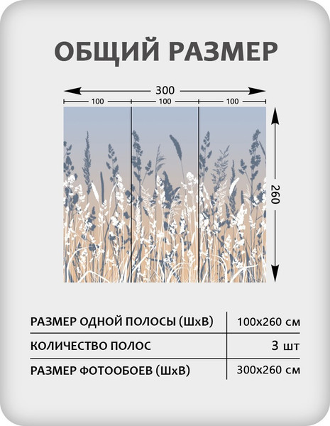 Изображение товара Фотообои листовые Citydecor Невесомость 46 (300x260см)