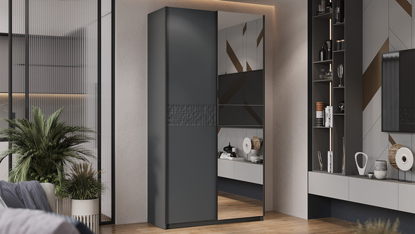 Изображение товара Шкаф-купе ТриЯ Оскар Скания Т2 1200 / 268598 (ручка черная/серый графит/серый графит/графит матовый)