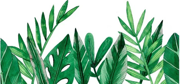 Изображение товара Фотообои листовые Citydecor Цветы и Растения 238 (200x260см)