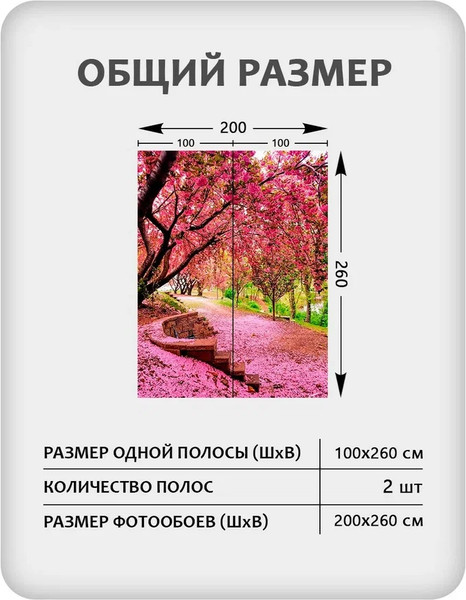 Изображение товара Фотообои листовые Citydecor Природа 148 (200x260см)