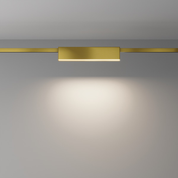 Изображение товара Трековый светильник Maytoni Basis Flarity TR151-1-18W3K-BS