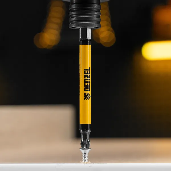 Изображение товара Набор бит Denzel 11644 (10шт)