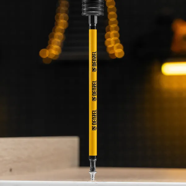 Изображение товара Набор бит Denzel 11647 (5шт)