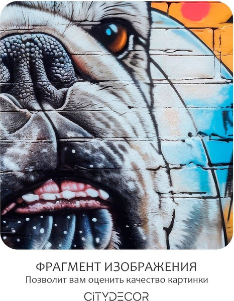 Изображение товара Фотообои листовые Citydecor El Tomasio (300x260см)