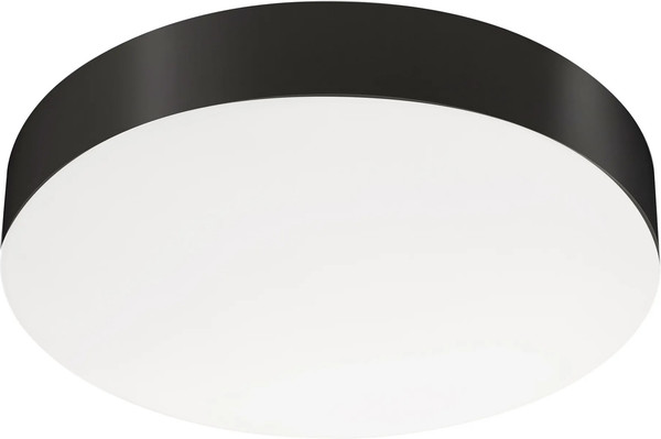 Изображение товара Потолочный светильник Arlight IM-FLOWER-EMERGENCY-3H-R280-15W Day4000-MIX BK 110deg / 041106