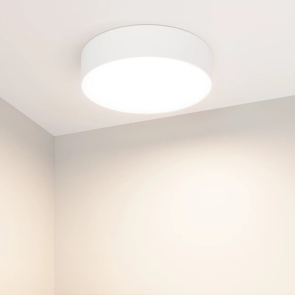 Изображение товара Потолочный светильник Arlight SP-RONDO-R210-20W Day4000 WH 120deg / 022230(2)
