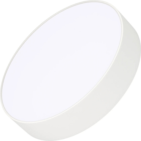 Изображение товара Потолочный светильник Arlight SP-RONDO-R250-30W Day4000 WH 120deg / 022232(2)