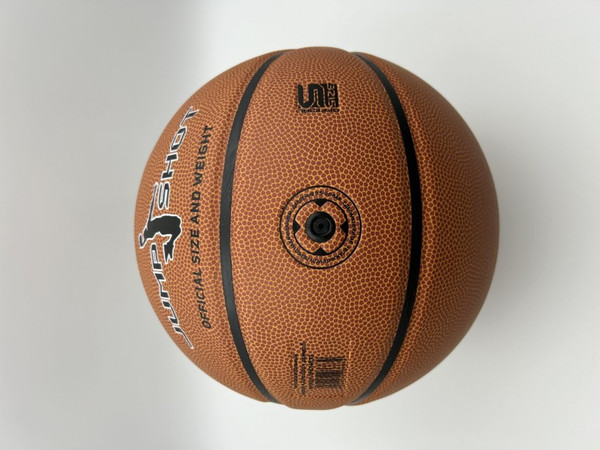 Изображение товара Баскетбольный мяч Tech Team Jump Shot 1/25 / NN014633