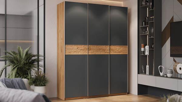 Изображение товара Шкаф-купе ТриЯ Оскар Скания Т2 1800 / 268682 (ручка серебро/дуб крафт золотой/серый графит/дуб тортугга)