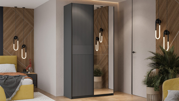 Изображение товара Шкаф-купе ТриЯ Оскар Хилтон Т2 1200 / 271042 (ручка черная/серый графит/графит матовый)