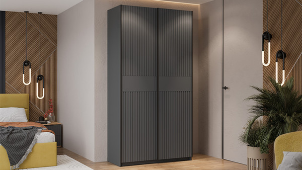 Изображение товара Шкаф-купе ТриЯ Оскар Хилтон Т2 1200 / 271026 (ручка черная/серый графит/графит матовый)