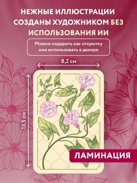 Изображение товара Гадальные карты Бомбора Метафорический портрет. Какое ты растение / 9785041990992 (Быкова Анна)