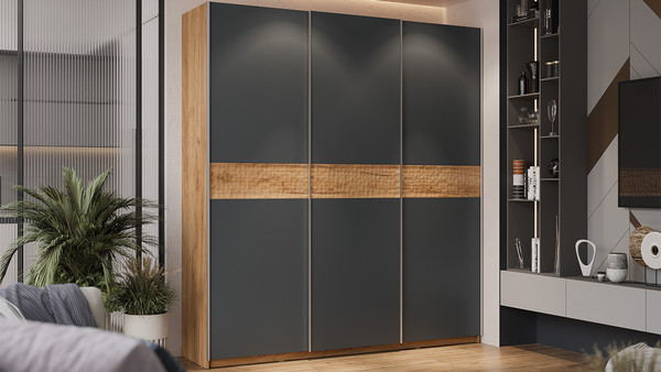 Изображение товара Шкаф-купе ТриЯ Оскар Скания Т2 2100 / 268748 (ручка серебро/дуб крафт золотой/серый графит/дуб тортугга)