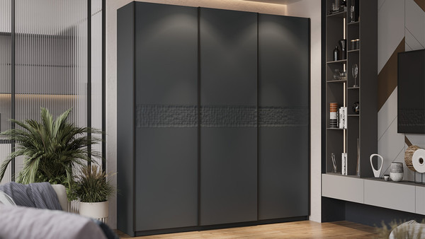 Изображение товара Шкаф-купе ТриЯ Оскар Скания Т2 2100 / 268763 (ручка черная/серый графит/серый графит/графит матовый)