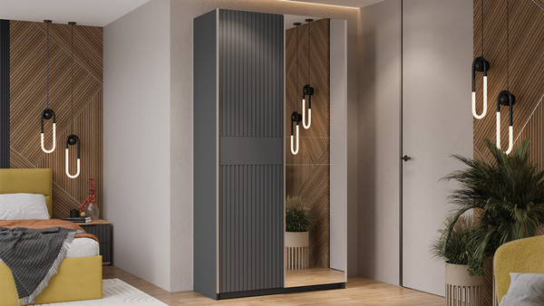 Изображение товара Шкаф-купе ТриЯ Оскар Хилтон Т2 1200 / 271036 (ручка серебро/серый графит/графит матовый)