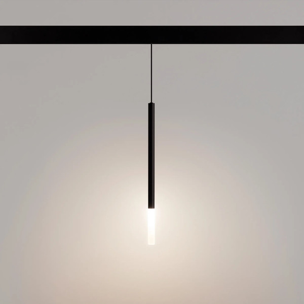Изображение товара Трековый светильник Arlight MAG-ORIENT-STICK-HANG-R20-3W Day4000 BK 180deg / 036541(1)