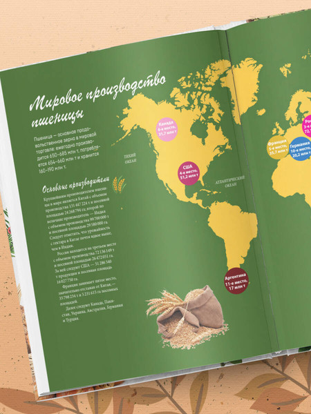 Изображение товара Энциклопедия Эксмо Семена и зерна, твердая обложка (Монторо Жорж)