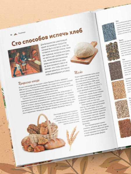 Изображение товара Энциклопедия Эксмо Семена и зерна, твердая обложка (Монторо Жорж)