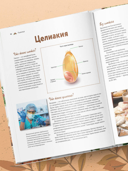 Изображение товара Энциклопедия Эксмо Семена и зерна, твердая обложка (Монторо Жорж)