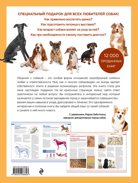 Изображение товара Энциклопедия Эксмо Собаки, твердая обложка (Шкляев Андрей)