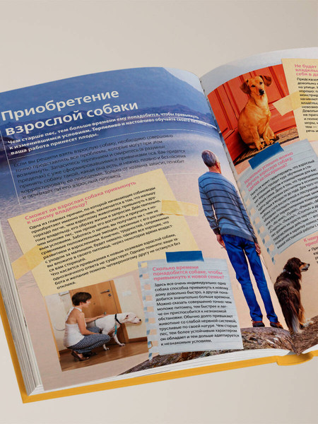 Изображение товара Энциклопедия Эксмо Собаки, твердая обложка (Шкляев Андрей)