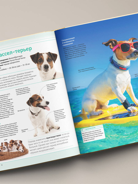 Изображение товара Энциклопедия Эксмо Собаки, твердая обложка (Шкляев Андрей)