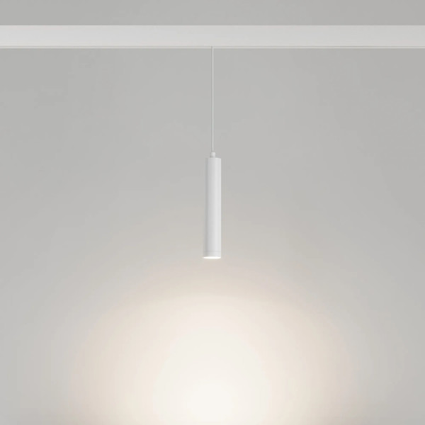 Изображение товара Трековый светильник Arlight MAG-ORIENT-SPOT-HANG-R45-12W Day4000 WH 24deg / 035828