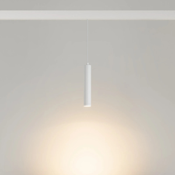 Изображение товара Трековый светильник Arlight MAG-ORIENT-SPOT-HANG-R45-12W Warm3000 WH 24deg / 035830