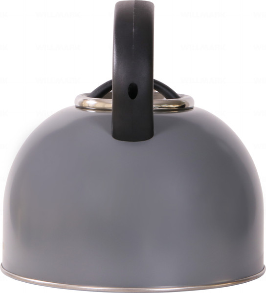 Изображение товара Чайник со свистком Willmark WTK-4810SS / 2001461