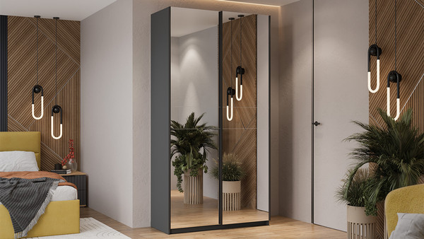 Изображение товара Шкаф-купе ТриЯ Оскар Т2 1200 / 271156 (ручка черная/серый графит)