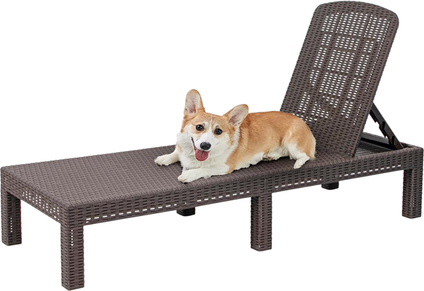 Изображение товара Шезлонг Springhouse Sunny SL01BR (коричневый)