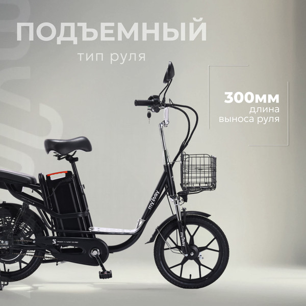Изображение товара Электровелосипед MyWay Truck 1.1 240 18 Pro (15, черный)