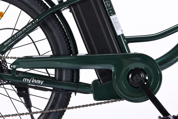 Изображение товара Электровелосипед MyWay Road 1.0 250 26 Pro (17, зеленый)