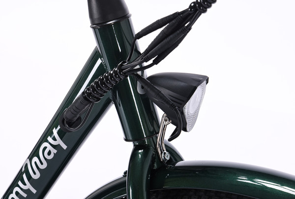 Изображение товара Электровелосипед MyWay Road 1.0 250 26 Pro (17, зеленый)