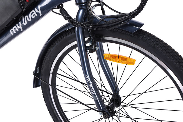 Изображение товара Электровелосипед MyWay Let 1.0 250 26 Pro (19, синий)