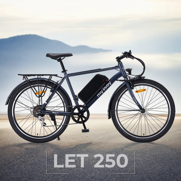 Изображение товара Электровелосипед MyWay Let 1.0 250 26 Pro (19, синий)