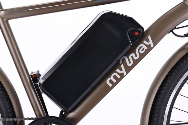 Изображение товара Электровелосипед MyWay Let 1.0 250 26 Pro (19, титановый матовый)