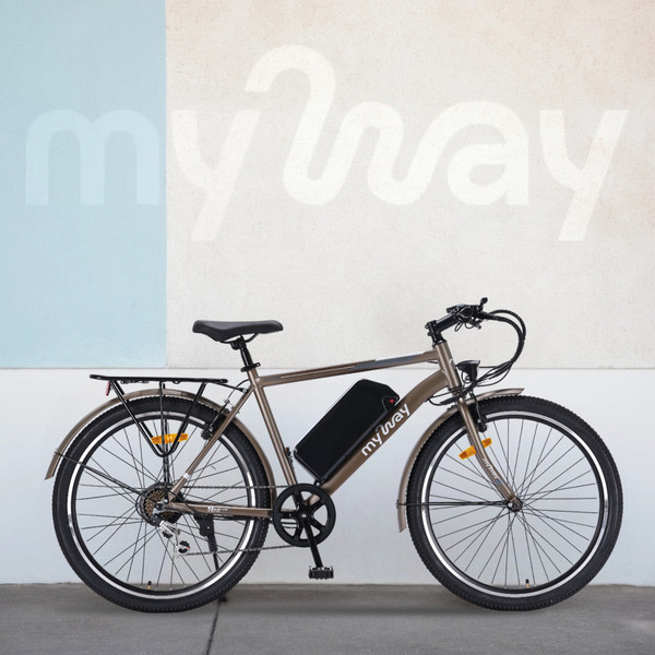 Изображение товара Электровелосипед MyWay Let 1.0 250 26 Pro (19, титановый матовый)