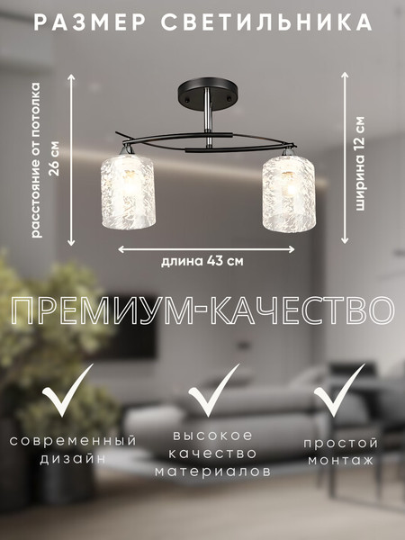 Изображение товара Потолочный светильник Aitin-Pro НПБ 02-2x60-101 / K2351/2 (черный/хром)