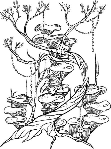 Изображение товара Раскраска-антистресс Бомбора Алхимия времени. Раскраска-медитация, мягкая обложка (Лаврентьева Светлана)