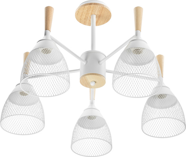 Изображение товара Люстра Sundays Home R-25 / 6211 (с лампами Е27 12W 4100K 5шт)