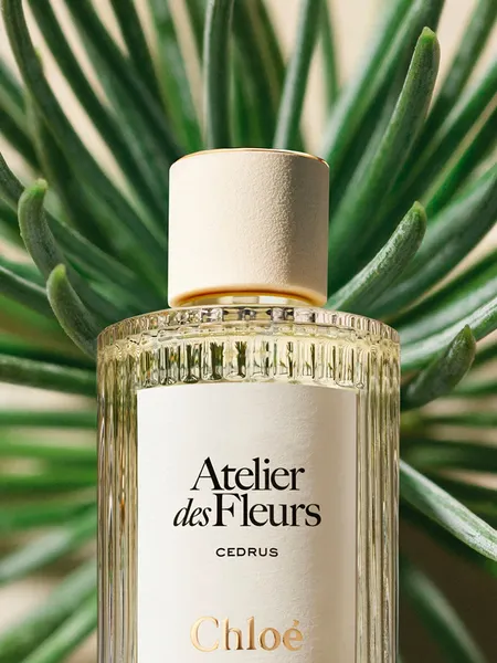 Изображение товара Парфюмерная вода Chloe Atelier des Fleurs Cedrus (50мл)
