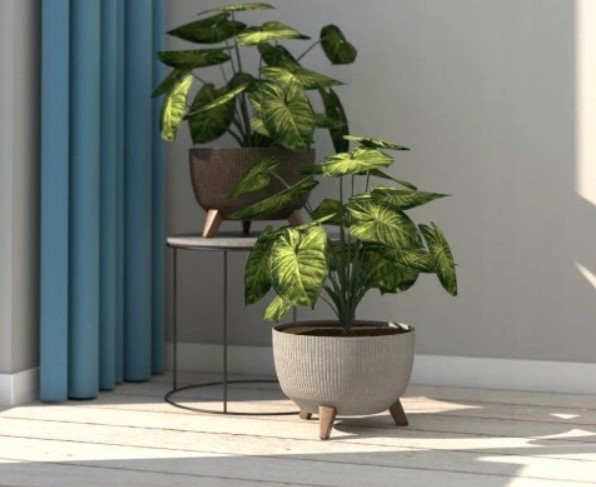 Изображение товара Кашпо Lamela Roma / LA952-50 (серый)