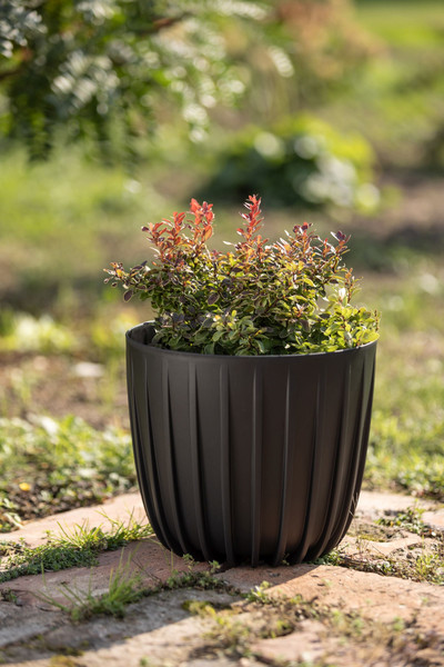 Изображение товара Кашпо Lamela Mira / LA515-05 (белый)