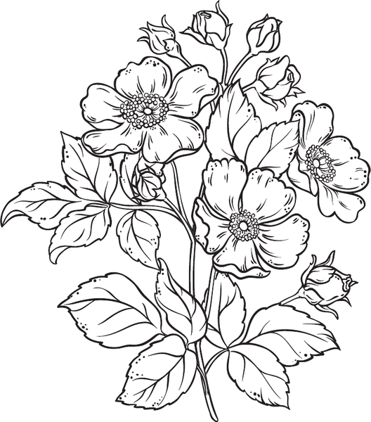 Изображение товара Раскраска-антистресс АСТ Сад цветочной феи (Андерсен Матильда)