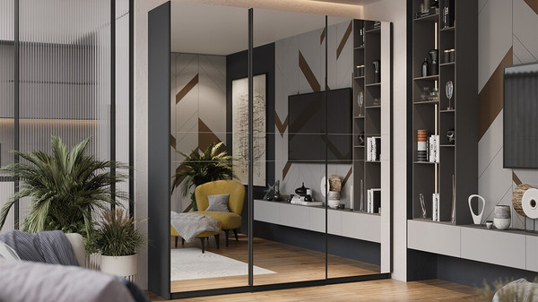 Изображение товара Шкаф-купе ТриЯ Оскар Т2 2100 / 271180 (ручка черная/серый графит)