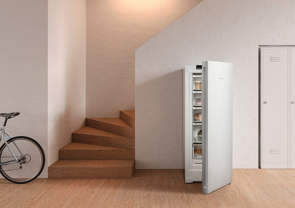 Изображение товара Морозильник Liebherr FNe 4605